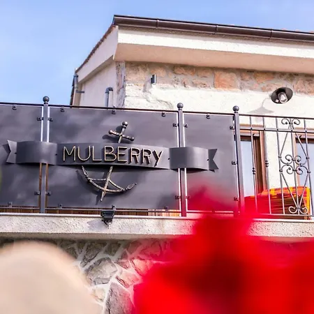 Mulberry Prázdninový dům Milohnici