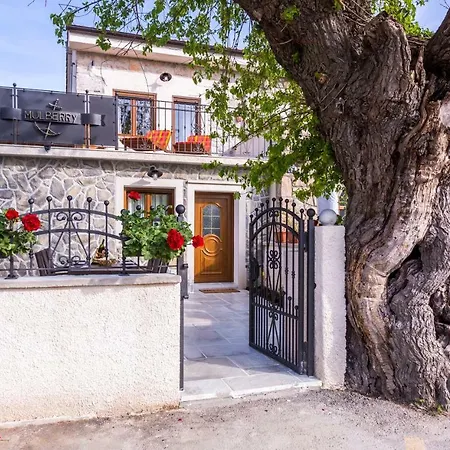 Mulberry * Milohnici