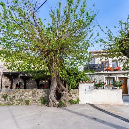 Mulberry Ferienhaus