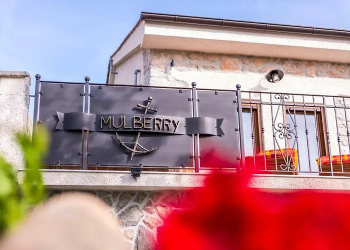 Mulberry בית נופש Milohnici